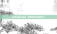 黄金价格大波动：如何预测未来趋势？