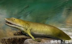 已灭绝4.36亿年的鱼化石被发现
