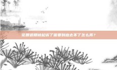 花呗逾期被起诉了需要到庭去不了怎么弄？