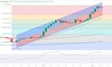 究竟怎么回事？！黄金突然大幅回调 分析师：本周这些因素恐点燃黄金行情拍《父母爱情》时曾卑微地求演角色，如今的她身价早已高攀不起