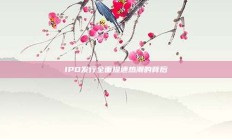 IPO发行全面提速热潮的背后