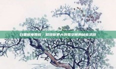 白条额度回收：释放你更大消费空间的秘密武器