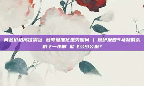 黄金价格高位震荡 若降息催化走势如何 | 投研报告5马赫的战机飞一小时 能飞多少公里?
