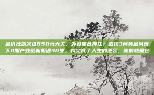 金价狂飙突进650元大关,外资重仓押注!透视3月黄金风暴下A股产业链新机遇30岁,我完成了人生的逆袭,靠的就是它