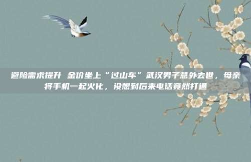 避险需求提升 金价坐上“过山车”武汉男子意外去世,母亲将手机一起火化,没想到后来电话竟然打通