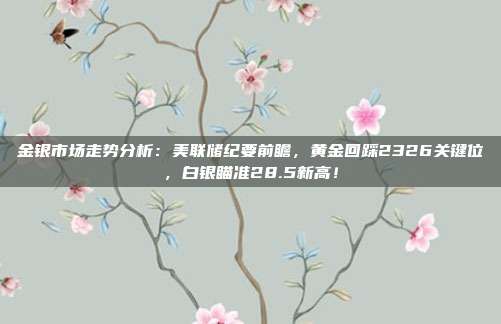 金银市场走势分析:美联储纪要前瞻,黄金回踩2326关键位,白银瞄准28.5新高!