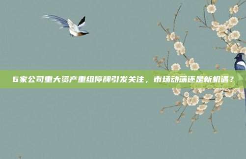 6家公司重大资产重组停牌引发关注,市场动荡还是新机遇?