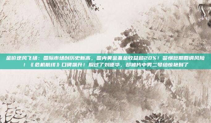金价逆风飞扬:国际市场创历史新高,国内黄金基金收益超20%!警惕短期回调风险!《危机航线》口碑飙升!躲过了刘德华,却被片中男二号给惊艳到了