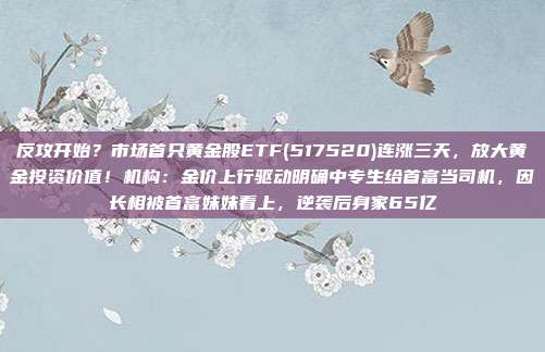 反攻开始?市场首只黄金股ETF(517520)连涨三天,放大黄金投资价值!机构:金价上行驱动明确中专生给首富当司机,因长相被首富妹妹看上,逆袭后身家65亿
