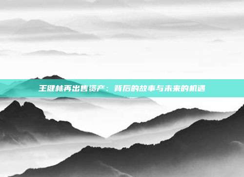 王健林再出售资产:背后的故事与未来的机遇