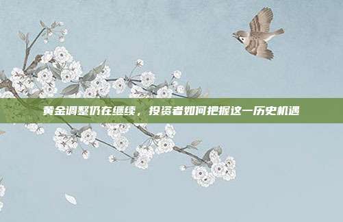 黄金调整仍在继续,投资者如何把握这一历史机遇