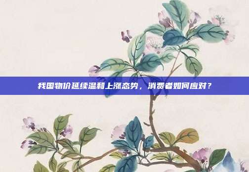 我国物价延续温和上涨态势,消费者如何应对?