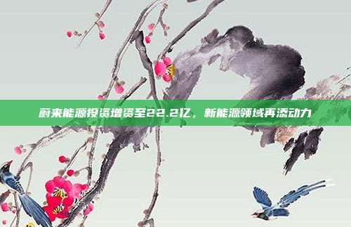 蔚来能源投资增资至22.2亿,新能源领域再添动力
