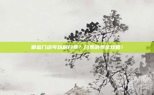 哪些门店可以刷白条?白条消费全攻略!