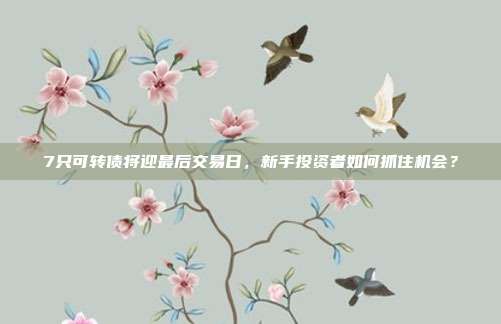 7只可转债将迎最后交易日,新手投资者如何抓住机会?