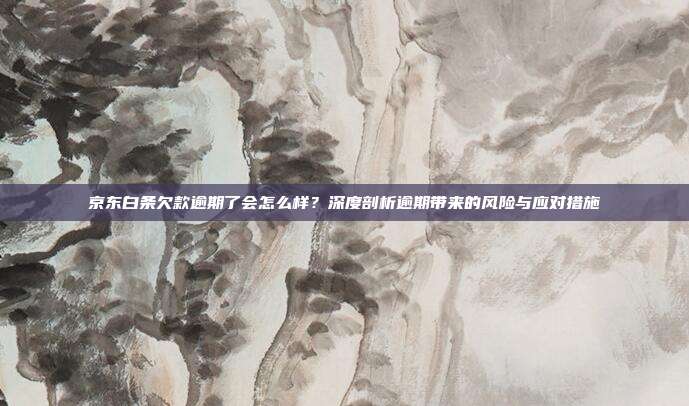 京东白条欠款逾期了会怎么样?深度剖析逾期带来的风险与应对措施