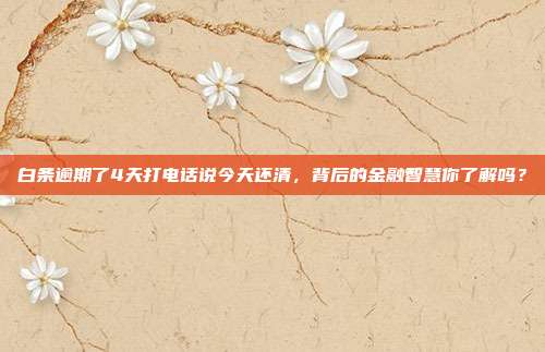 白条逾期了4天打电话说今天还清,背后的金融智慧你了解吗?