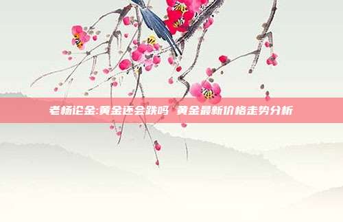 老杨论金:黄金还会跌吗 黄金最新价格走势分析