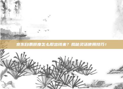 京东白条额度怎么取出钱来?揭秘灵活使用技巧!