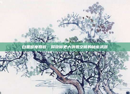 白条额度回收:释放你更大消费空间的秘密武器
