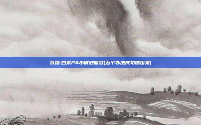 似懂:白条24小时秒回款(五个办法成功刷出来)