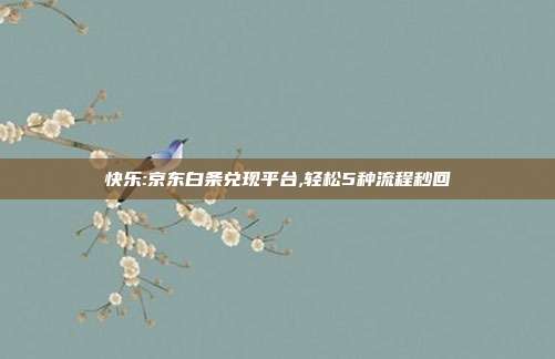 快乐:京东白条兑现平台,轻松5种流程秒回