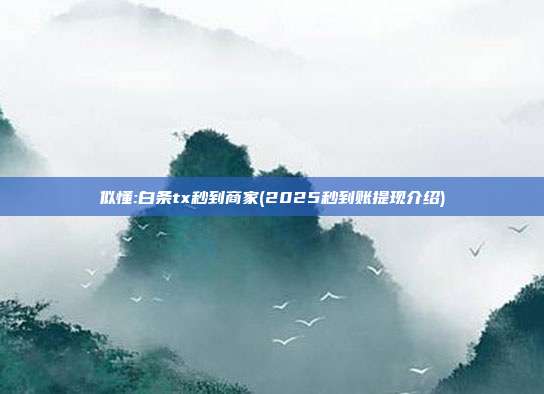 似懂:白条tx秒到商家(2025秒到账提现介绍)
