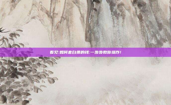 看见:如何套白条的钱:一步步教你操作!