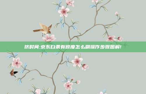 挤时间:京东白条有额度怎么刷操作步骤图解!