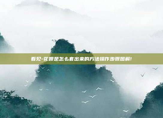 看见-花呗是怎么套出来的方法操作步骤图解!
