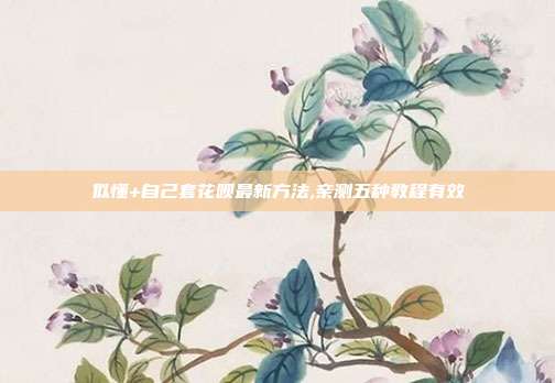 似懂+自己套花呗最新方法,亲测五种教程有效