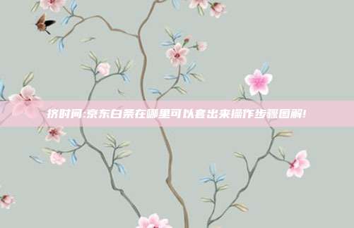 挤时间:京东白条在哪里可以套出来操作步骤图解!