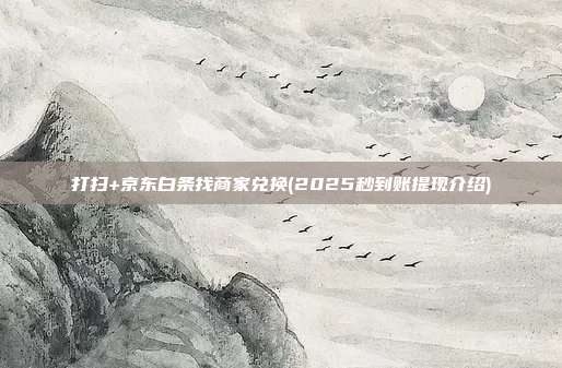打扫+京东白条找商家兑换(2025秒到账提现介绍)
