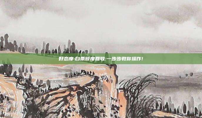 好态度:白条额度回收:一步步教你操作!