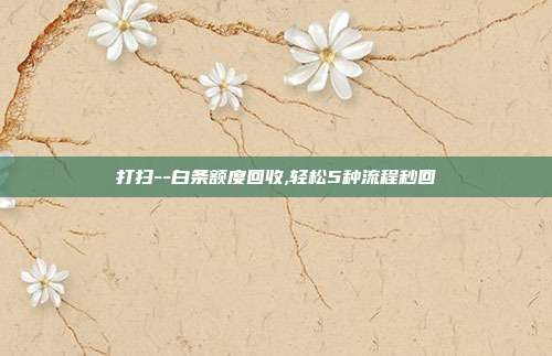 打扫--白条额度回收,轻松5种流程秒回