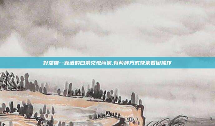 好态度--靠谱的白条兑现商家,有两种方式快来看图操作