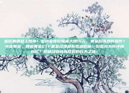 金价暴跌登上热搜!国内金饰价每克大跌14元,黄金后市如何操作?中信期货、博时黄金ETF基金经理最新观点揭秘!斑鬣狗为何钟情掏肛?揭秘动物被掏肛时的行为之谜!