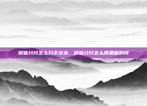 微信分付怎么扫不出来,微信分付怎么用里面的钱