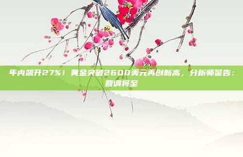 年内飙升27%!黄金突破2600美元再创新高,分析师警告:回调将至