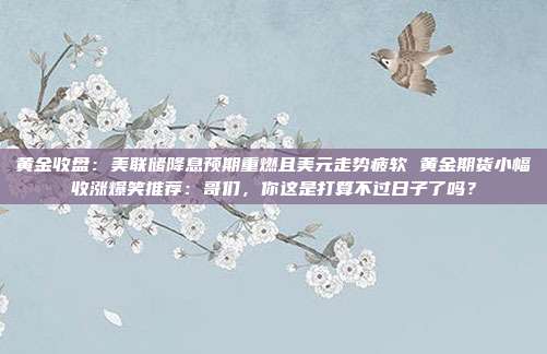 黄金收盘:美联储降息预期重燃且美元走势疲软 黄金期货小幅收涨爆笑推荐:哥们,你这是打算不过日子了吗?