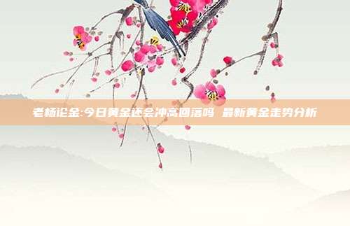 老杨论金:今日黄金还会冲高回落吗 最新黄金走势分析