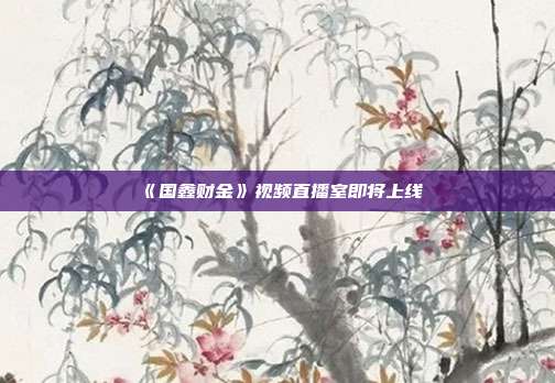 《国鑫财金》视频直播室即将上线